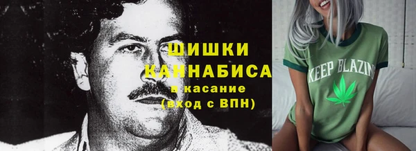 первитин Мегион
