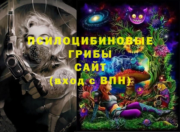 прущие крисы Белокуриха