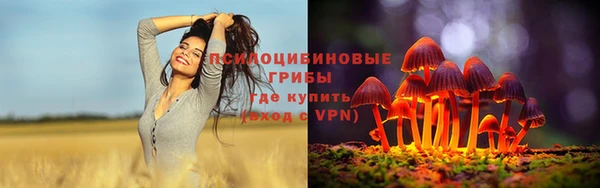 амфетамин Алексин