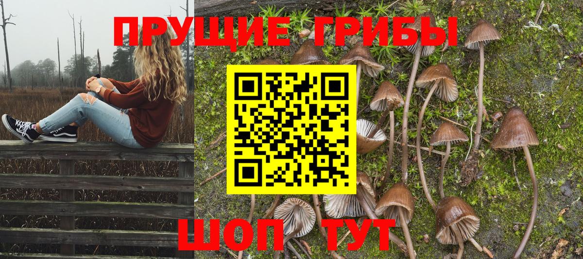 Галлюциногенные грибы MAGIC MUSHROOMS Зеленокумск