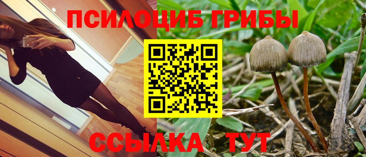 Псилоцибиновые грибы Cubensis Зеленокумск