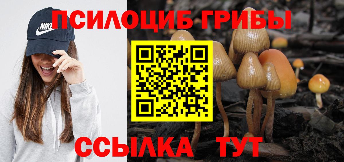  COCAIN Зеленокумск