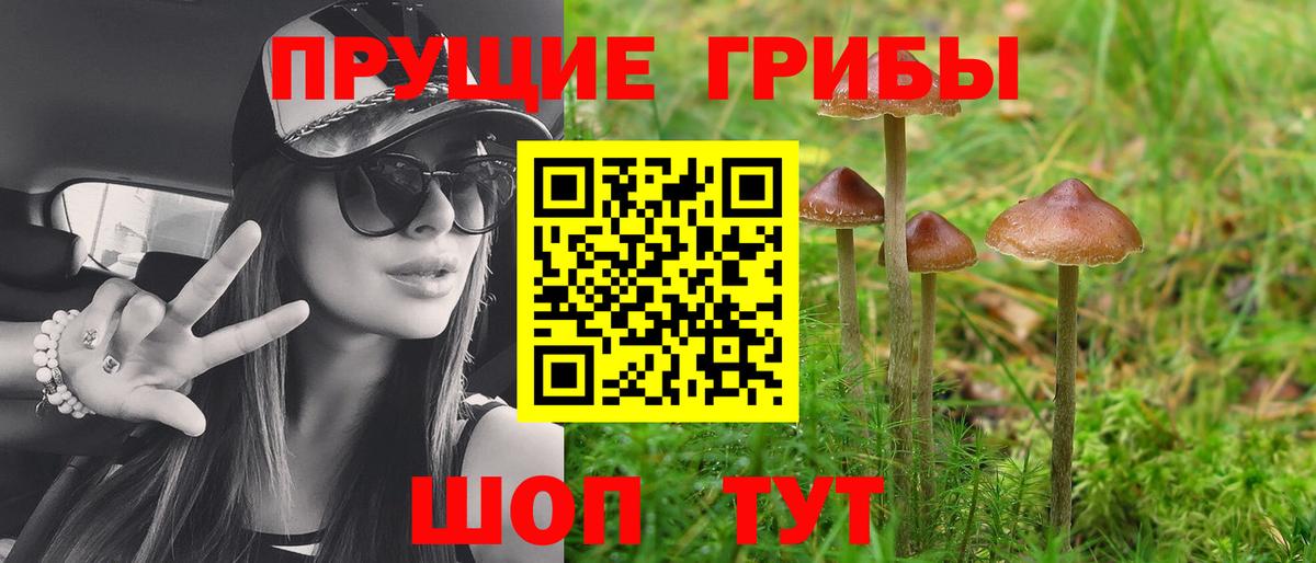 Псилоцибиновые грибы MAGIC MUSHROOMS  Вход с VPN  Зеленокумск 